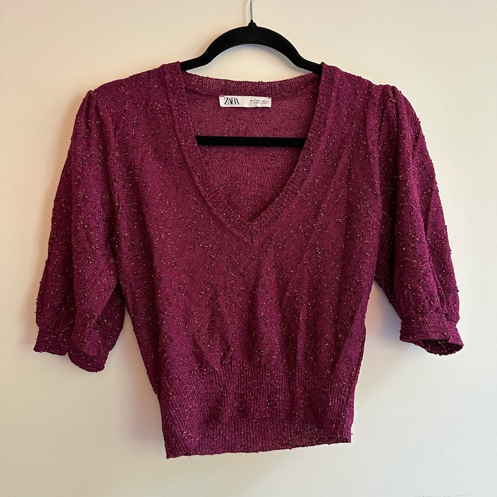 Pink Shimmery Zara Top ( Size small)